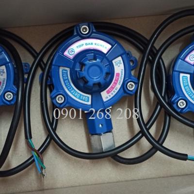 ĐẦU DÒ GAS CHỐNG NỔ TOP GAS